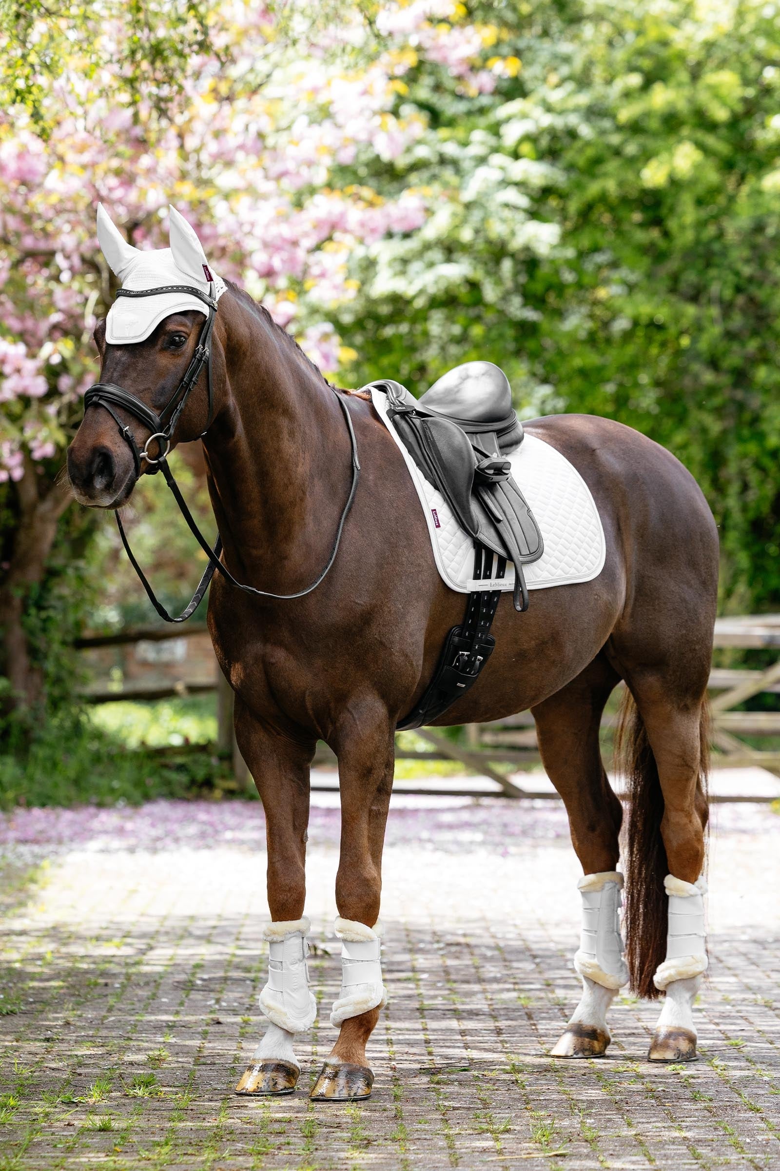 LeMieux Brilliance Fleece Edged Brushing Boots Leg Protection & Hoof Protection for Horses