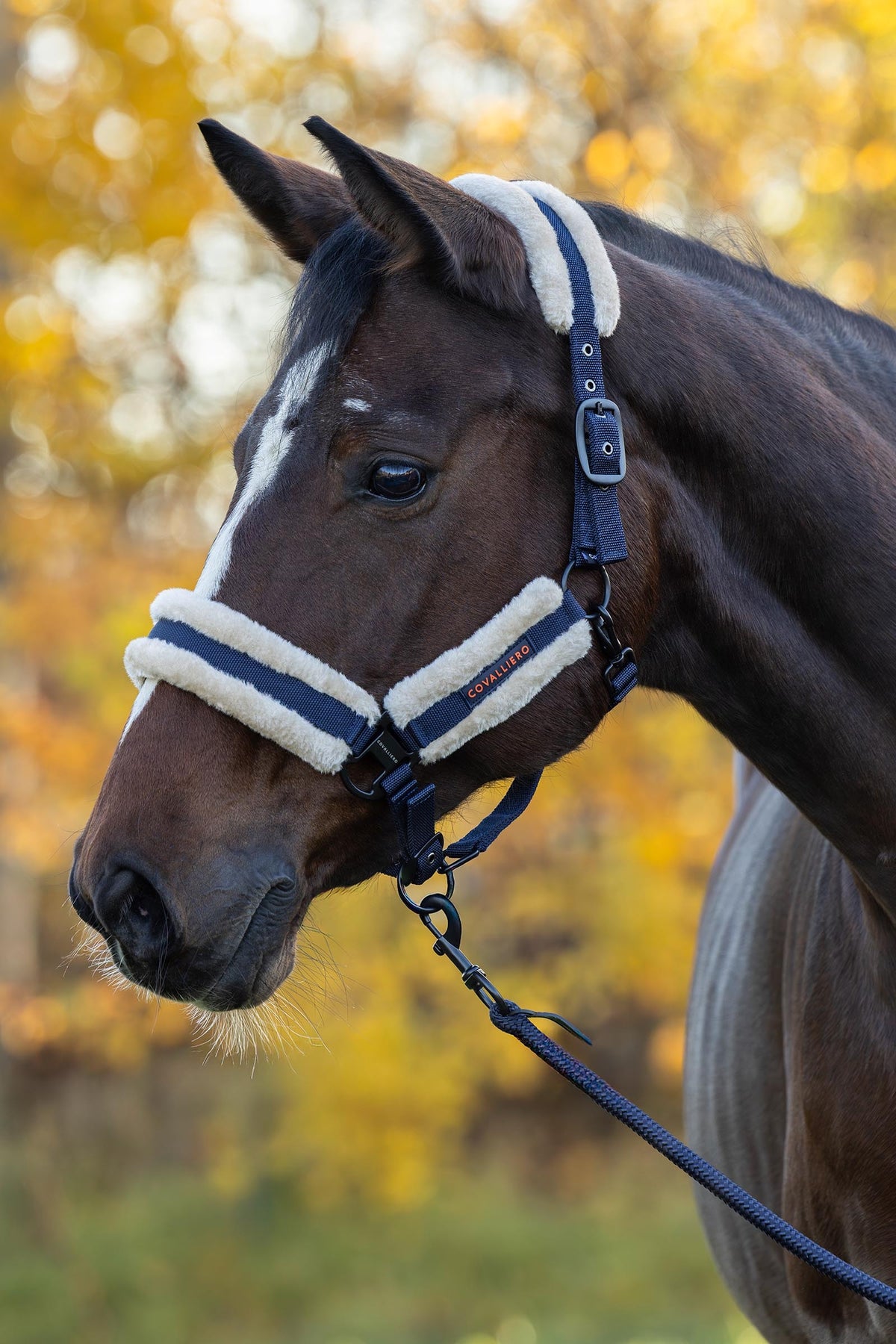 Covalliero FW26 Soft Halter Halters & Leads