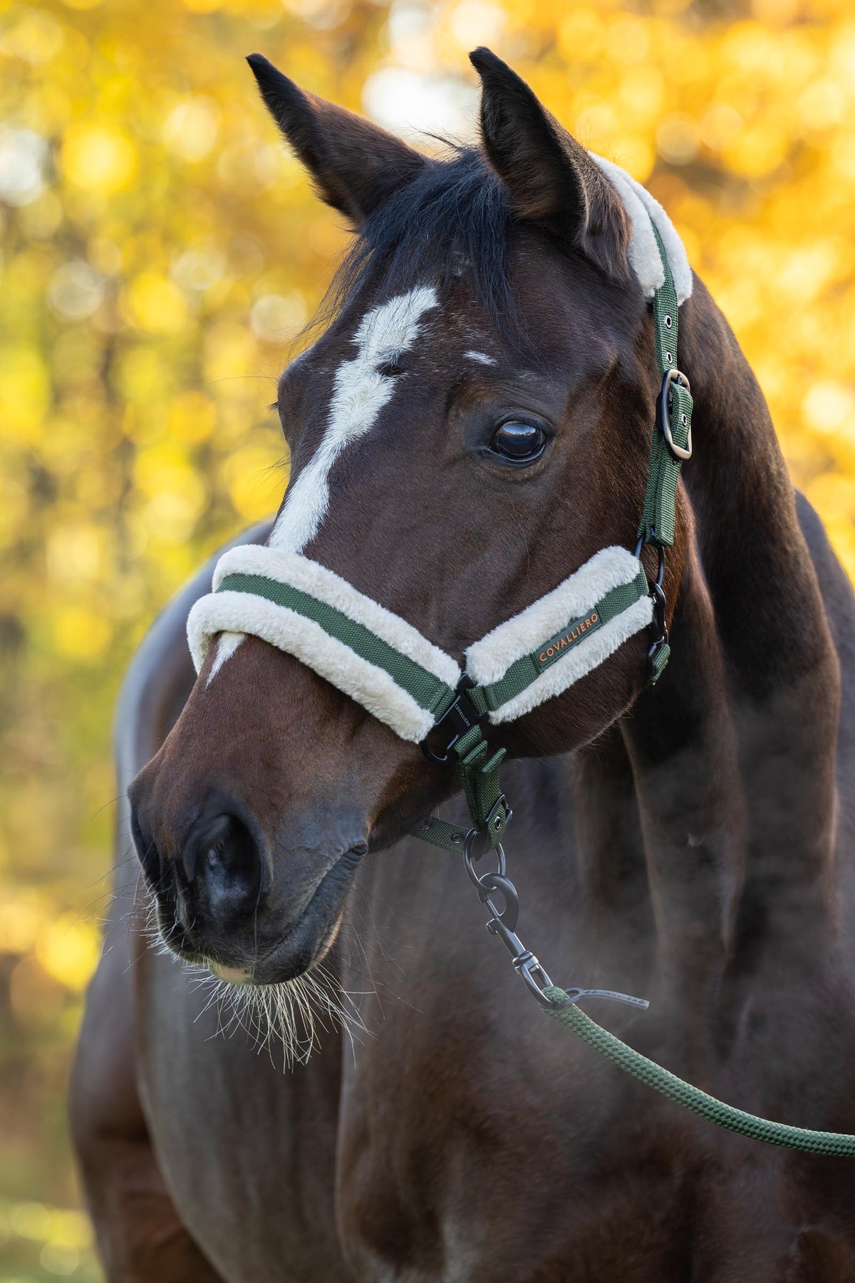 Covalliero FW26 Soft Halter Halters & Leads