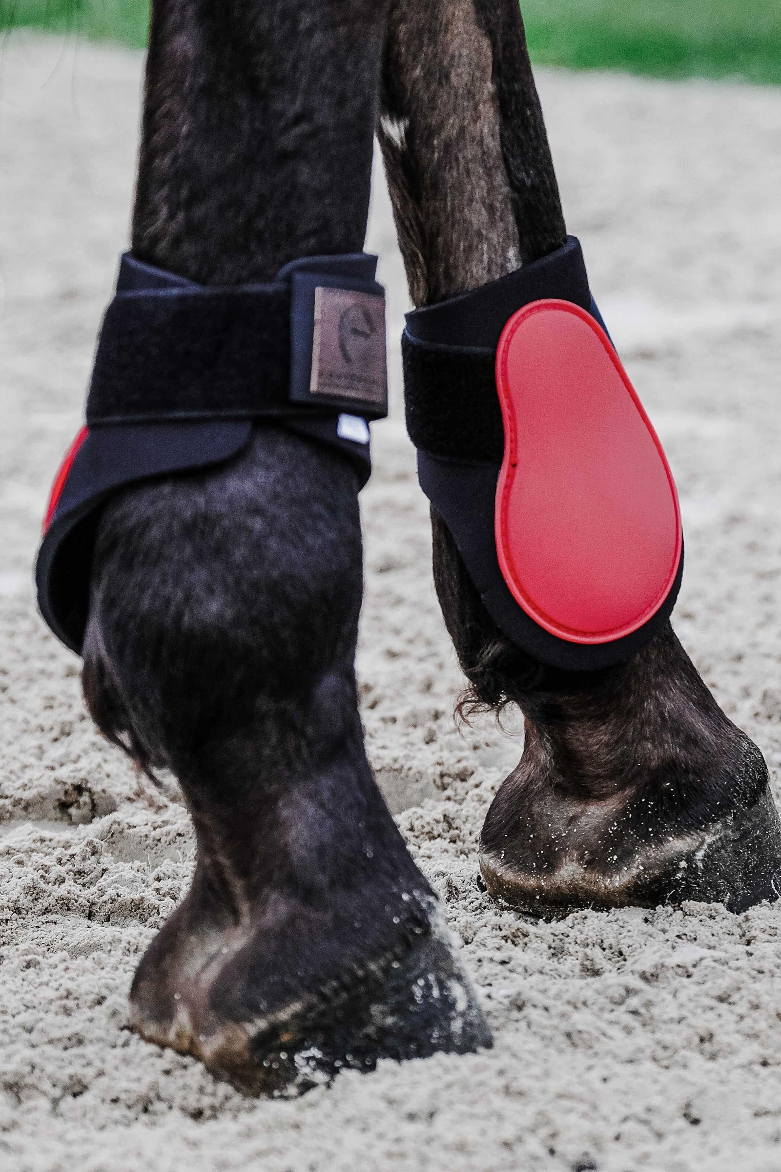 EQUITHÈME Tara Fetlock Boots Leg & Hoof Protection