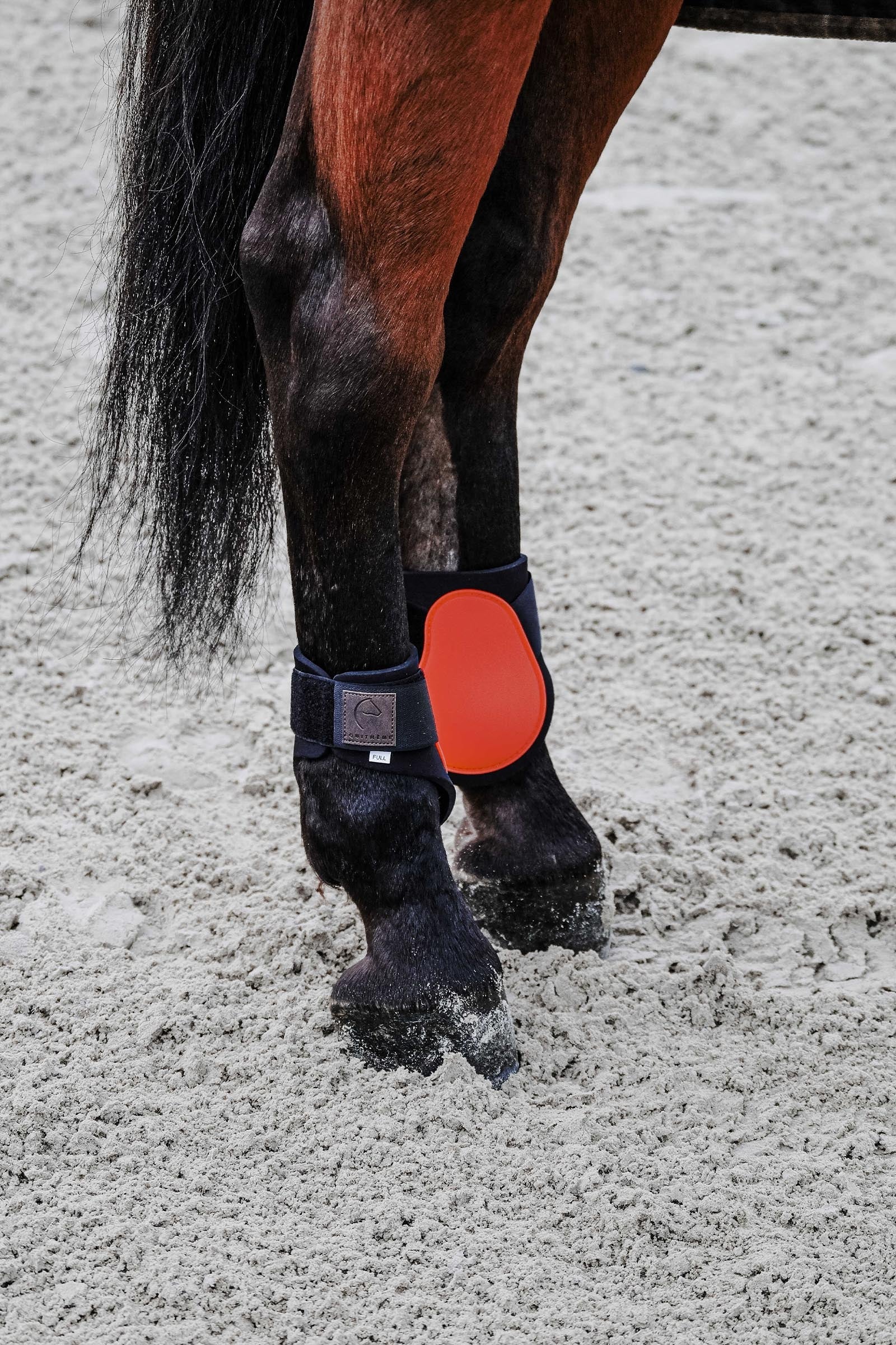 EQUITHÈME Tara Fetlock Boots Leg & Hoof Protection