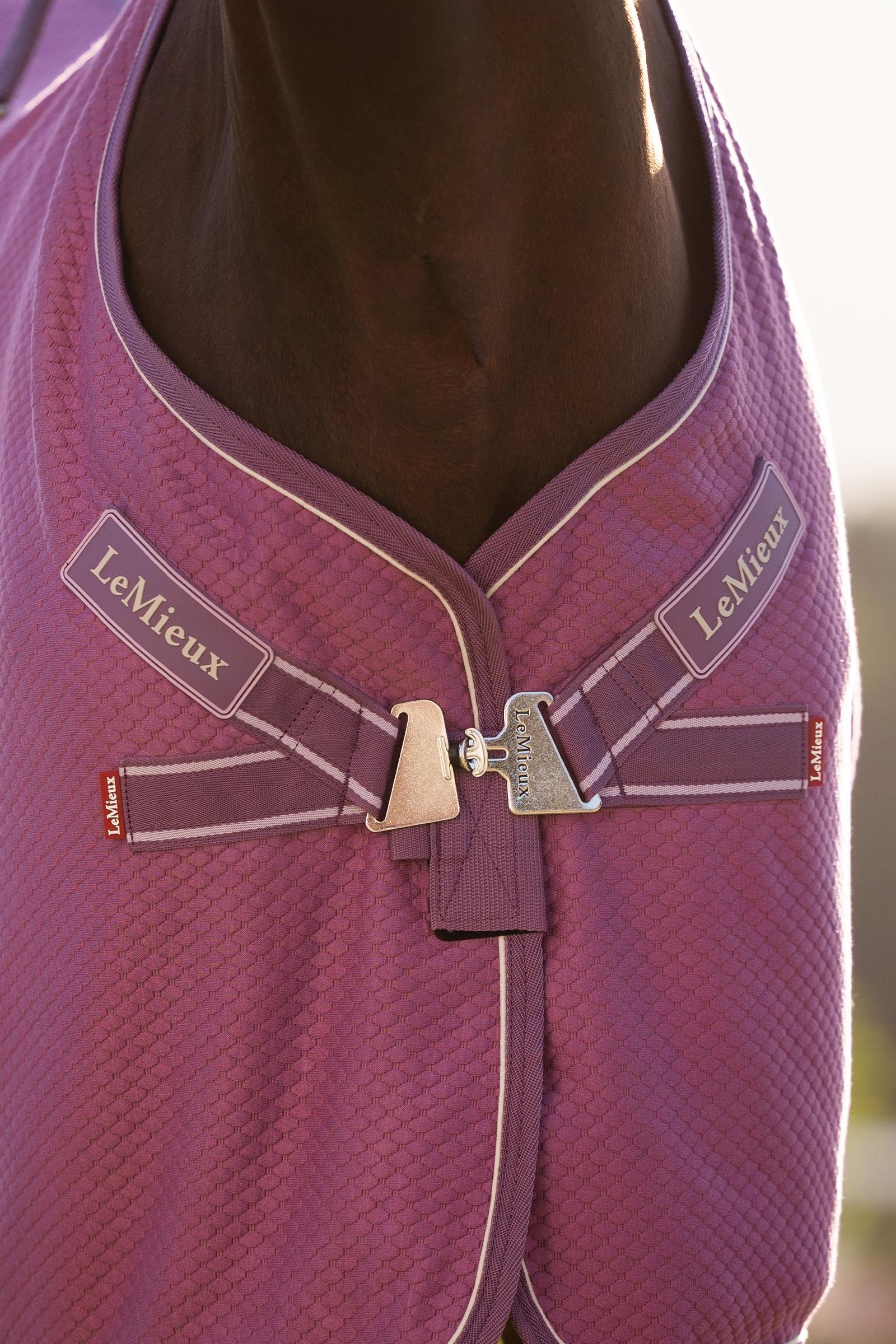 LeMieux Kudos Bamboo Cooler Horse Rugs