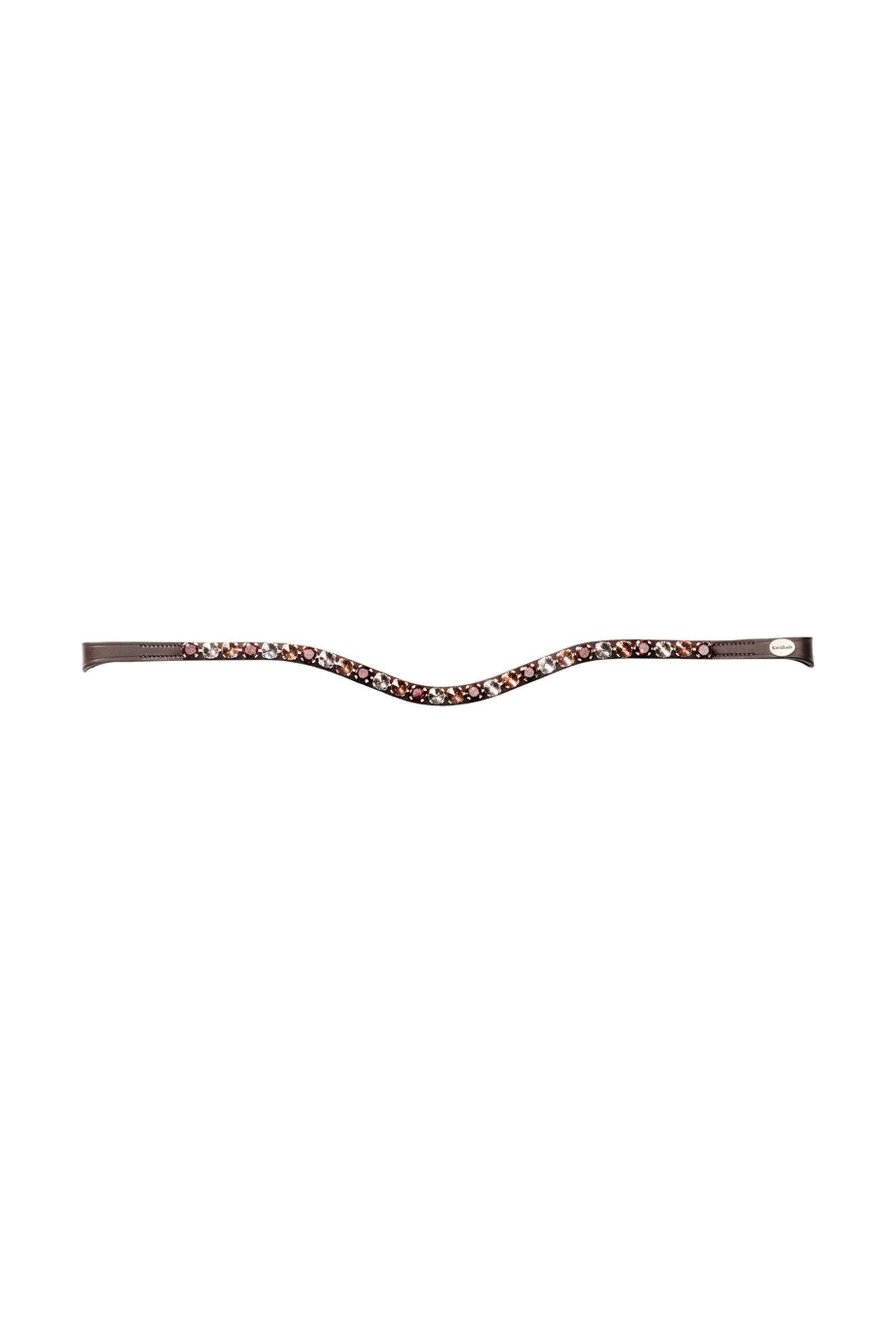 Alt Tag fallback text for IMAGE