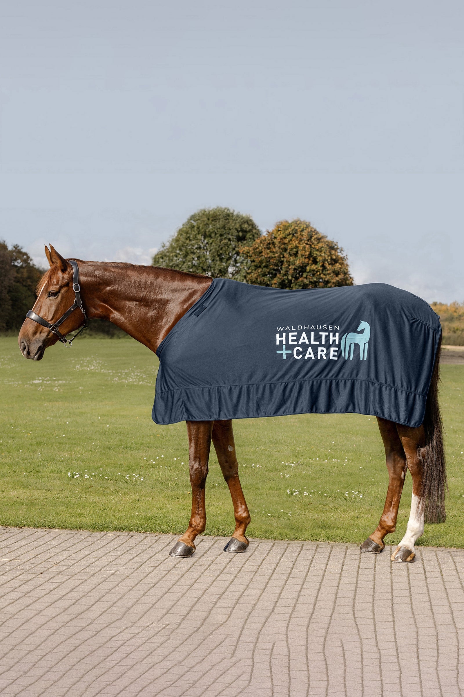 Waldhausen Health & Care Ice Layer Rug Horse Rugs