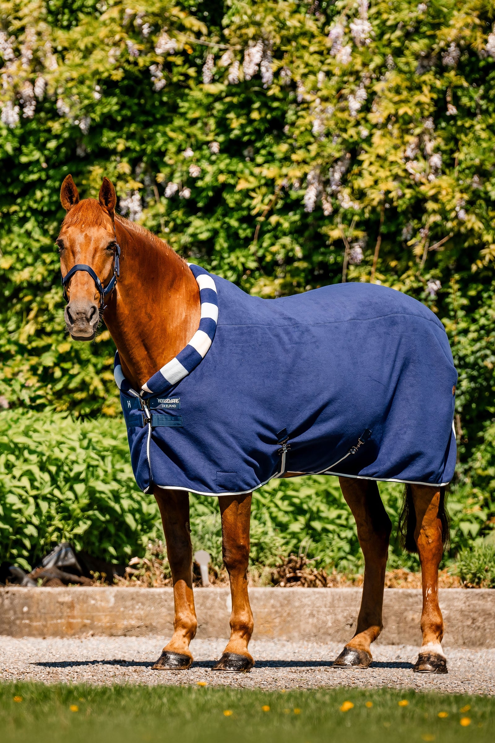 Horseware Newmarket Cosy Fleece Cooler Horse Rugs
