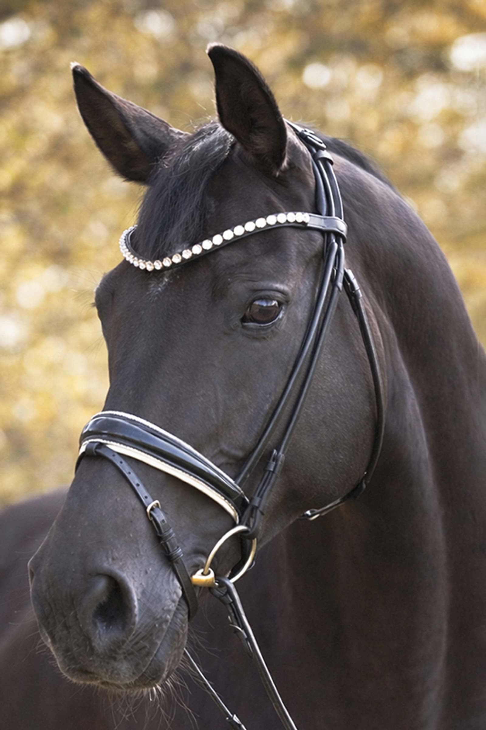 Kavalkade Florissa Patent Leather Bridle With Crank Noseband, Glitter Bridles & Reins