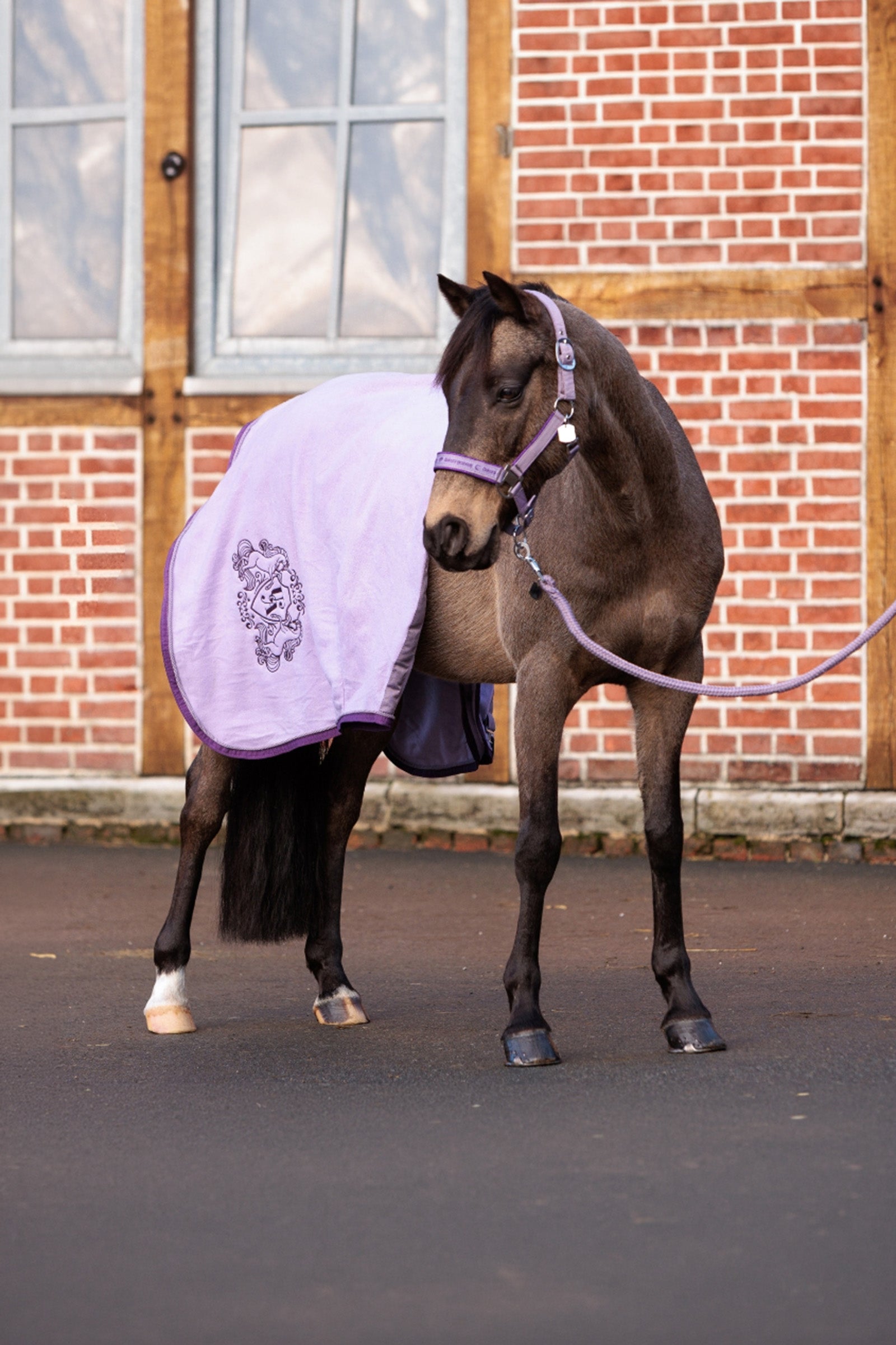 Kavalkade Unicorn Academy Fleece Cooler With Cord Horse Rugs