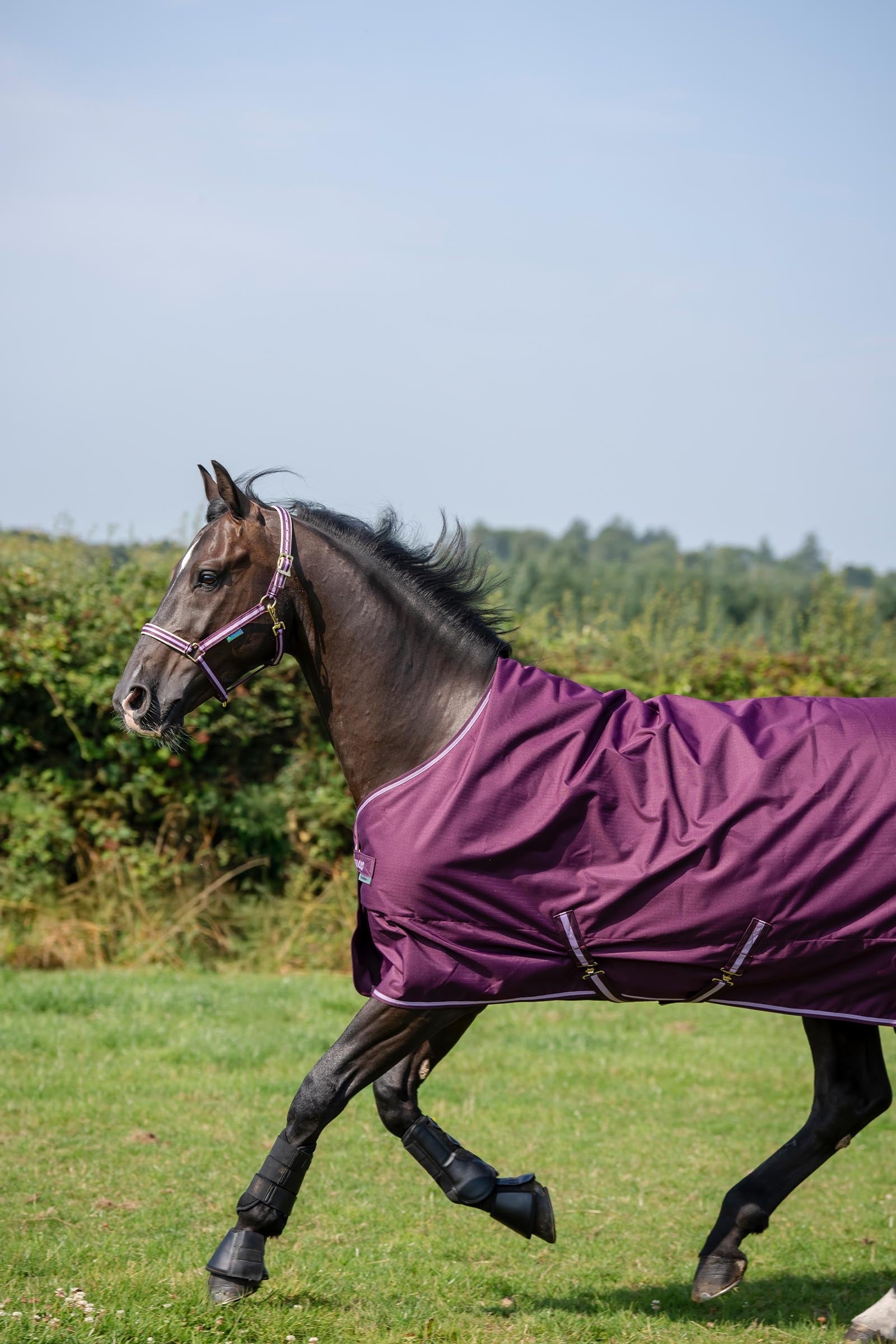 Bucas Freedom Pony Turnout Rug, 150g Horse Rugs
