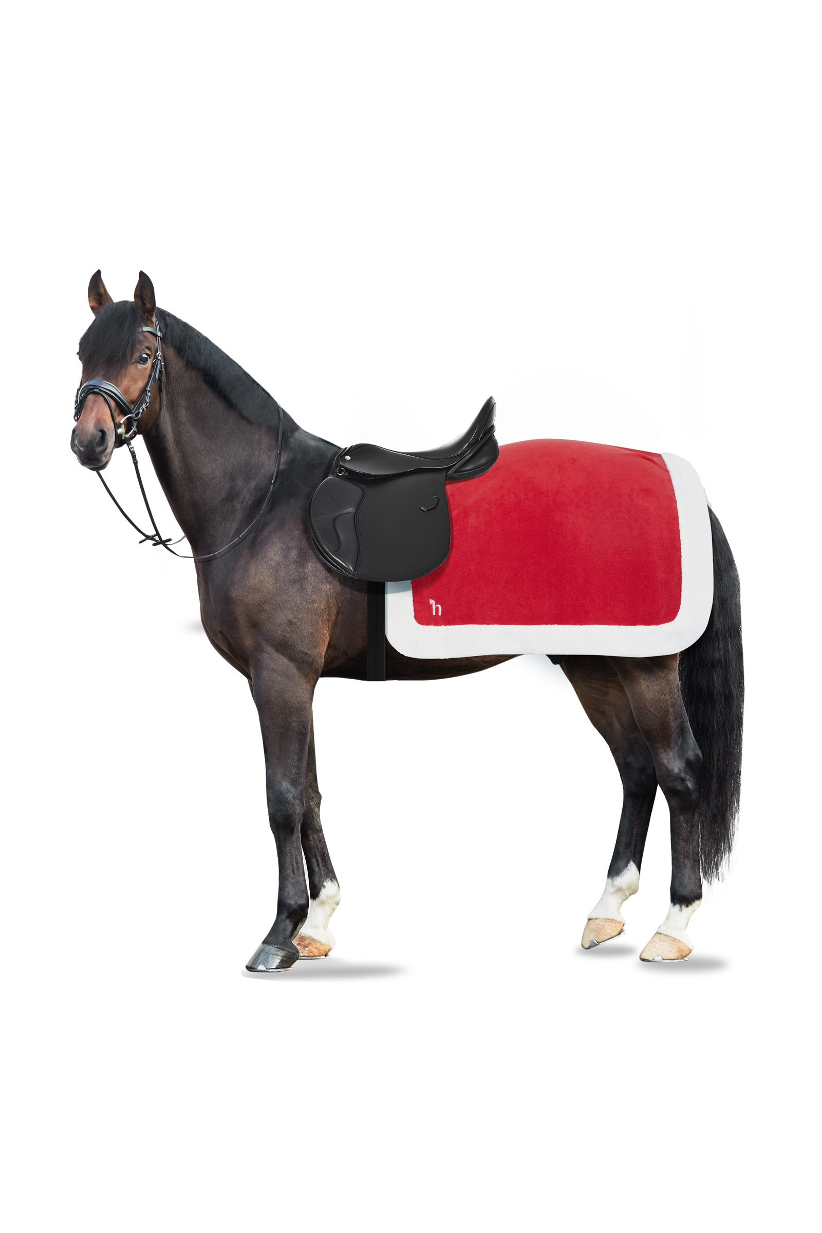 Quarter Sheets and Exercise Blankets for Horses