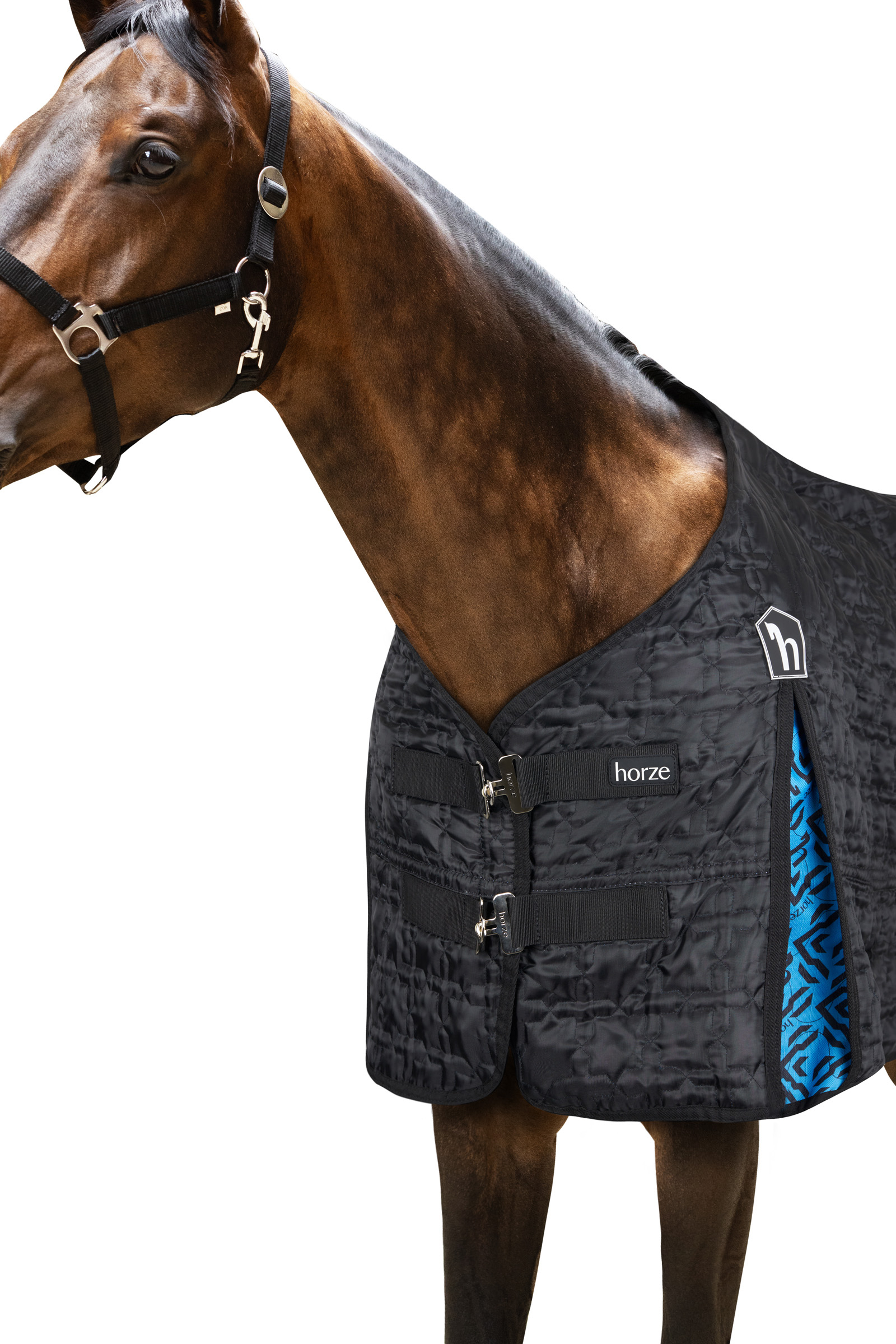 B Vertigo Corey 250 g Stable Blanket – Dark Horse Tack Company
