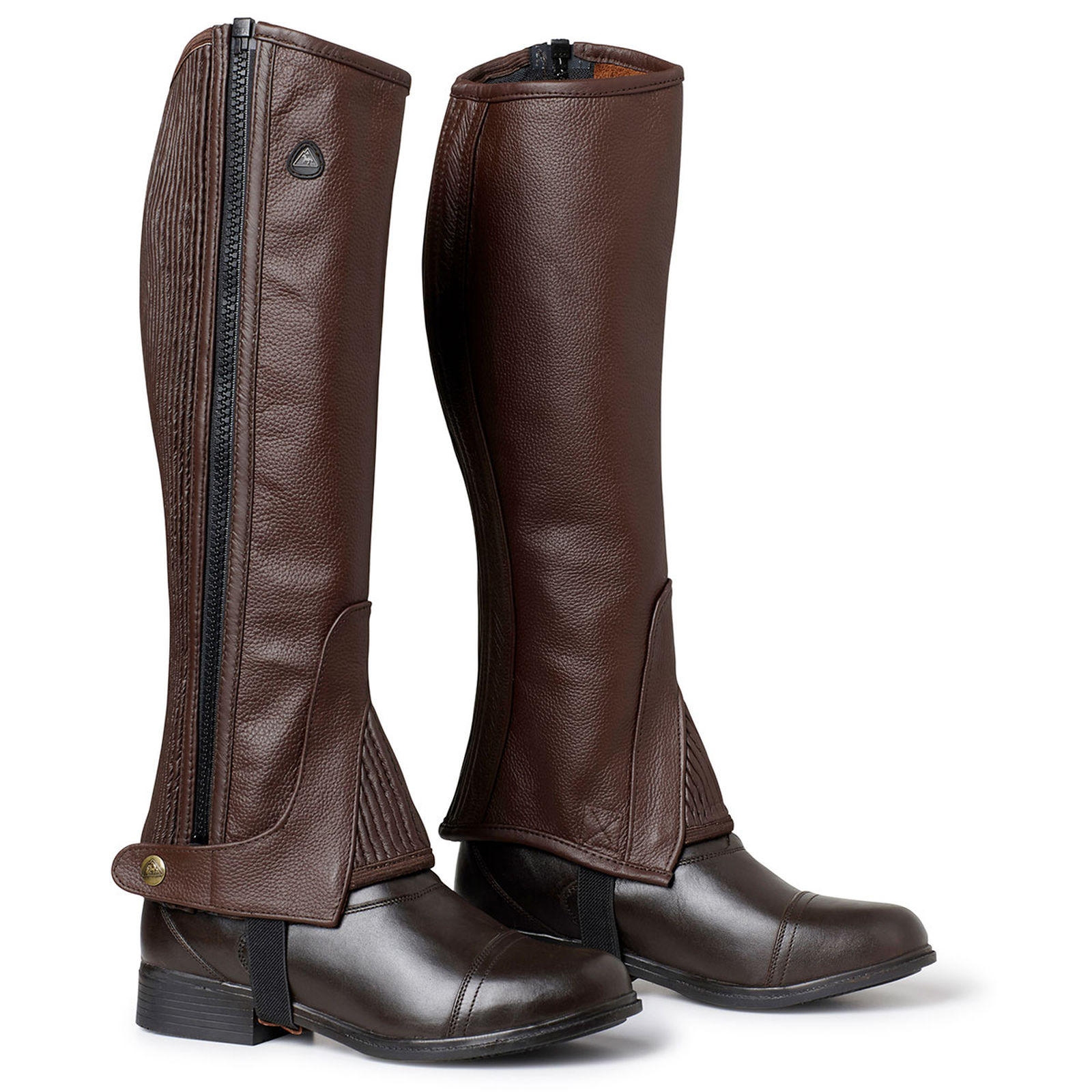 Ariat Ascent half chaps first look review