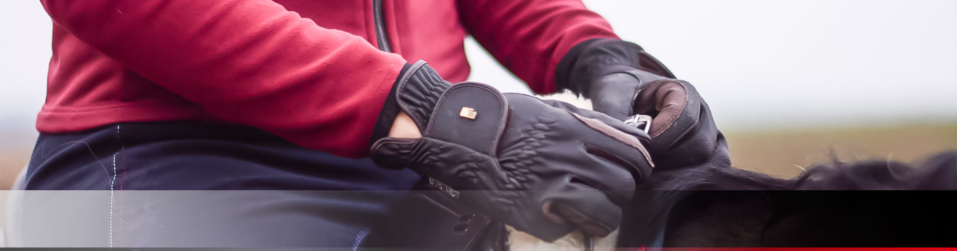 roeckl madison winter gloves